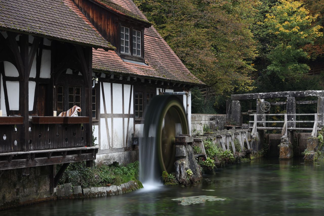Le Moyen Âge : L’Agriculture Féodale (Ve – XVe siècle)