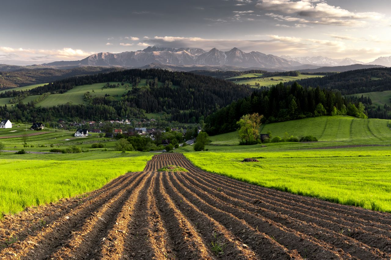 Le XXe Siècle : Modernisation et Politiques Agricoles