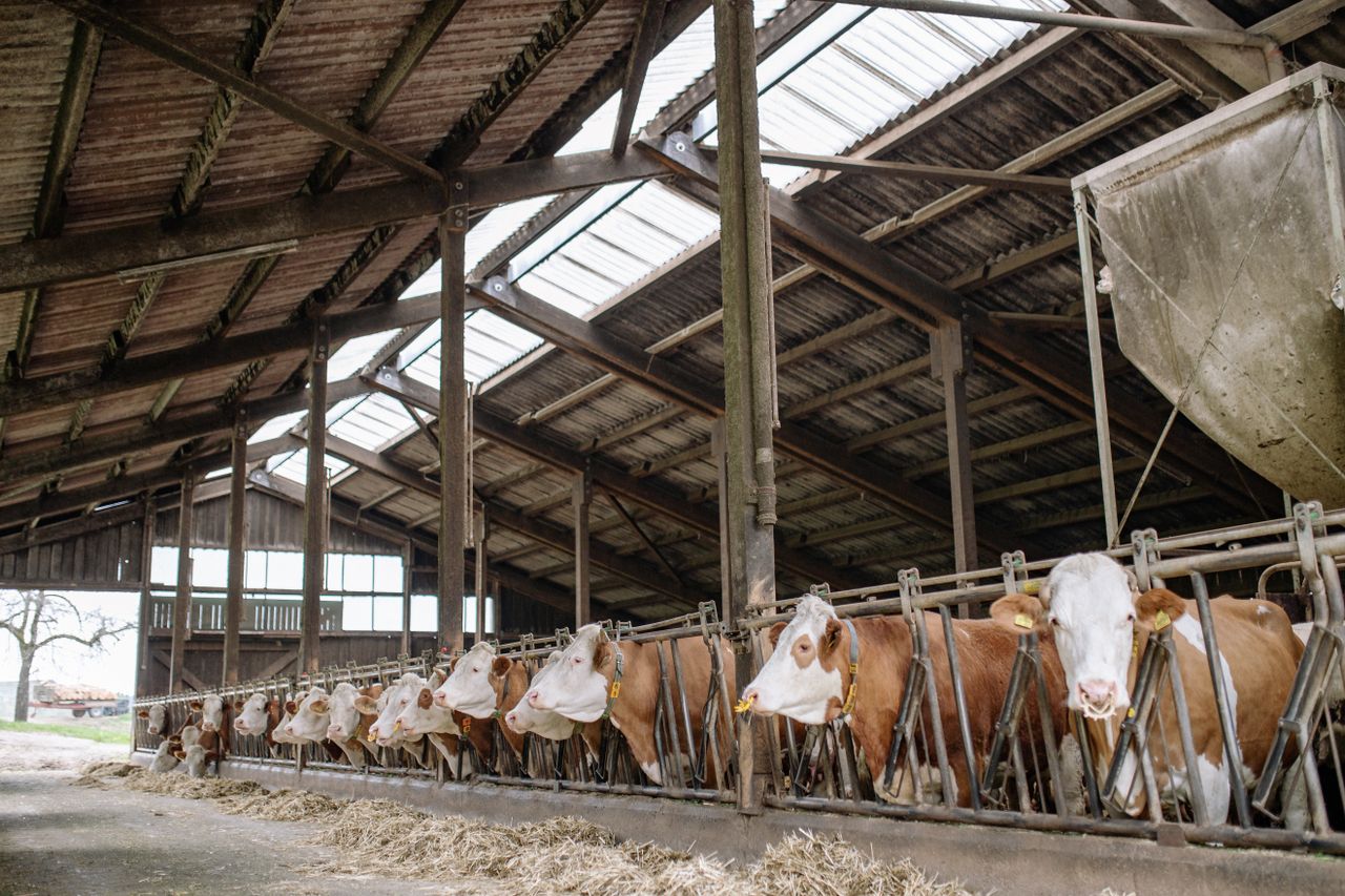 Le XXIe Siècle : Vers une Agriculture Durable